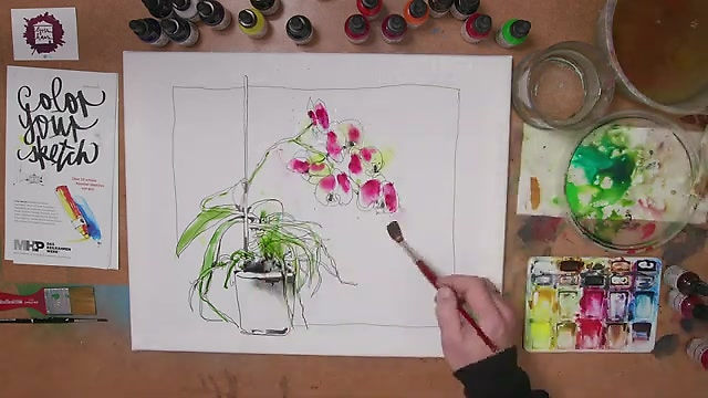 Orchidee – Motiv koloriert von Gris